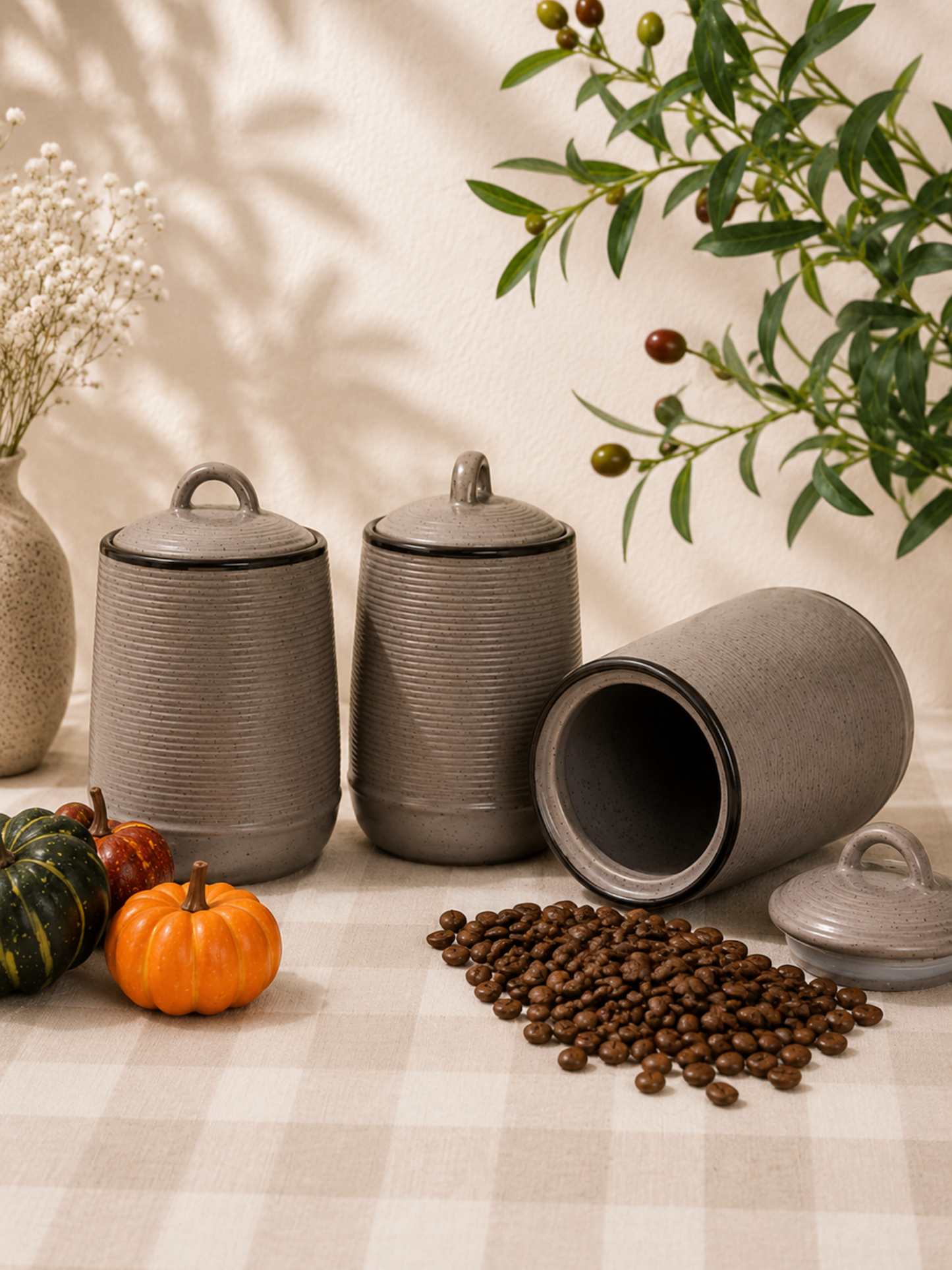 Charcoal Ribbed Storage Jar Set