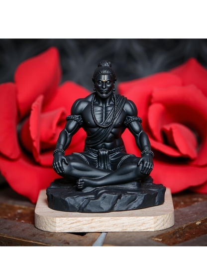 Hanuman Dhyaan Idol